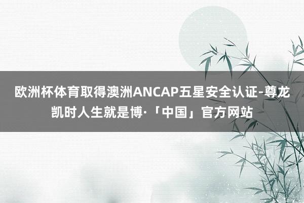 欧洲杯体育取得澳洲ANCAP五星安全认证-尊龙凯时人生就是博·「中国」官方网站
