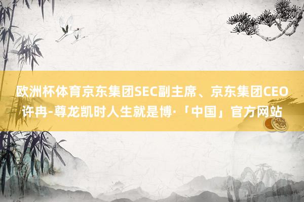 欧洲杯体育京东集团SEC副主席、京东集团CEO许冉-尊龙凯时人生就是博·「中国」官方网站