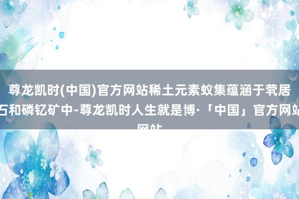 尊龙凯时(中国)官方网站稀土元素蚁集蕴涵于茕居石和磷钇矿中-尊龙凯时人生就是博·「中国」官方网站